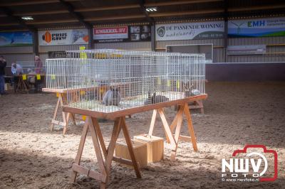 Voorjaarsshow van Kleindierenvereniging Sport Veredelt  - © NWVFoto.nl