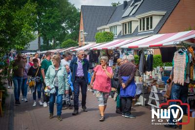 Grootste vlooienmarkt van de Veluwe trekt weer duizenden bezoekers naar 't Harde. - © NWVFoto.nl