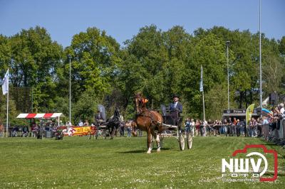 Prachtige omstandigheden tijdens de 40e editie van het Tuigpaardenconcours in Doornspijk op Sportpark De Haere. - © NWVFoto.nl