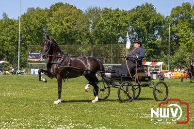 Prachtige omstandigheden tijdens de 40e editie van het Tuigpaardenconcours in Doornspijk op Sportpark De Haere. - © NWVFoto.nl