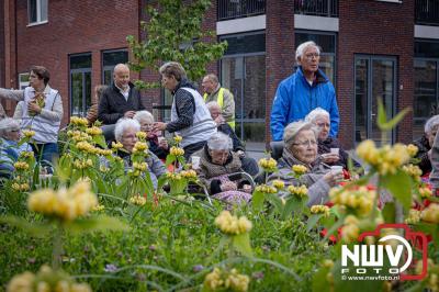 Wandelvierdaagse 2024 op 't Harde de woensdagavond. - © NWVFoto.nl