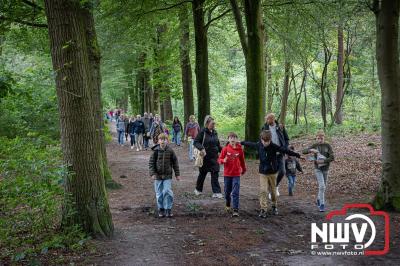 Wandelvierdaagse 2024 op 't Harde de woensdagavond. - © NWVFoto.nl