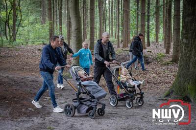 Wandelvierdaagse 2024 op 't Harde de woensdagavond. - © NWVFoto.nl