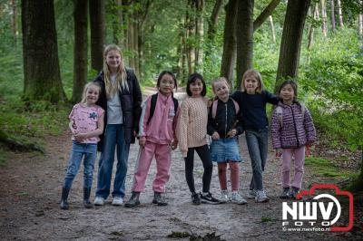 Wandelvierdaagse 2024 op 't Harde de woensdagavond. - © NWVFoto.nl