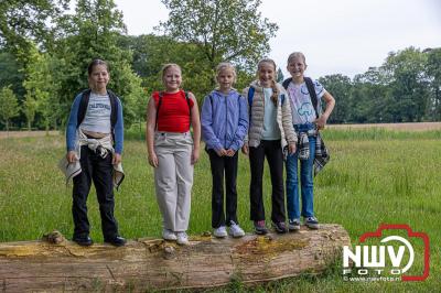 Wandelvierdaagse 2024 op 't Harde de donderdagavond. - © NWVFoto.nl