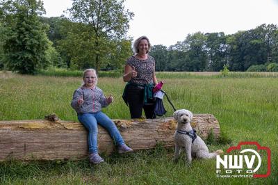 Wandelvierdaagse 2024 op 't Harde de donderdagavond. - © NWVFoto.nl