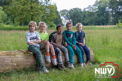 Wandelvierdaagse 2024 op 't Harde de donderdagavond. - © NWVFoto.nl