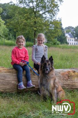 Wandelvierdaagse 2024 op 't Harde de donderdagavond. - © NWVFoto.nl