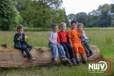 Wandelvierdaagse 2024 op 't Harde de donderdagavond. - © NWVFoto.nl