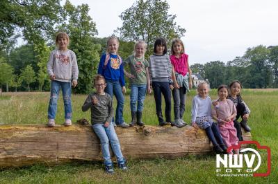 Wandelvierdaagse 2024 op 't Harde de donderdagavond. - © NWVFoto.nl