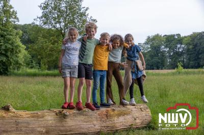 Wandelvierdaagse 2024 op 't Harde de donderdagavond. - © NWVFoto.nl