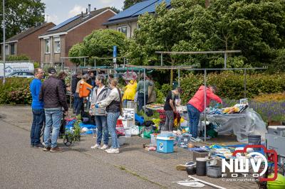 Negenentwintig deelnemers streden zaterdag voor de best gerookte paling op Noordeinde. - © NWVFoto.nl