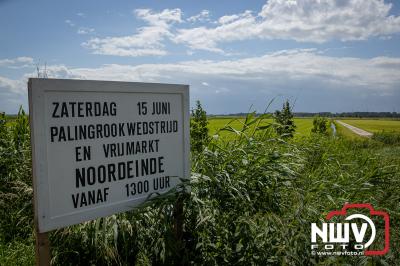 Negenentwintig deelnemers streden zaterdag voor de best gerookte paling op Noordeinde. - © NWVFoto.nl