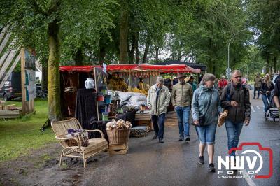 Traditioneel schapenscheren en markt tijdens het schaapscheerdersfeest bij de schaapskooi in Elspeet. - © NWVFoto.nl