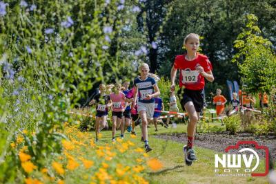 De eerste A. Vogelloop vond plaats onder prachtige weersomstandigheden, waarbij de deelnemers door de Vogeltuin en over het landgoed Zwaluwenburg in 't Harde liepen. - © NWVFoto.nl