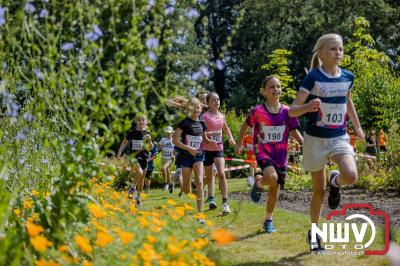 De eerste A. Vogelloop vond plaats onder prachtige weersomstandigheden, waarbij de deelnemers door de Vogeltuin en over het landgoed Zwaluwenburg in 't Harde liepen. - © NWVFoto.nl