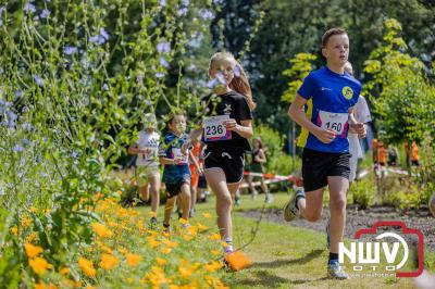 De eerste A. Vogelloop vond plaats onder prachtige weersomstandigheden, waarbij de deelnemers door de Vogeltuin en over het landgoed Zwaluwenburg in 't Harde liepen. - © NWVFoto.nl