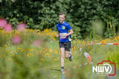 De eerste A. Vogelloop vond plaats onder prachtige weersomstandigheden, waarbij de deelnemers door de Vogeltuin en over het landgoed Zwaluwenburg in 't Harde liepen. - © NWVFoto.nl