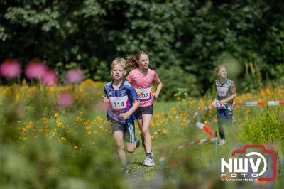 De eerste A. Vogelloop vond plaats onder prachtige weersomstandigheden, waarbij de deelnemers door de Vogeltuin en over het landgoed Zwaluwenburg in 't Harde liepen. - © NWVFoto.nl