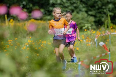 De eerste A. Vogelloop vond plaats onder prachtige weersomstandigheden, waarbij de deelnemers door de Vogeltuin en over het landgoed Zwaluwenburg in 't Harde liepen. - © NWVFoto.nl