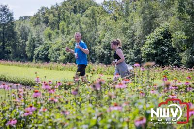 De eerste A. Vogelloop vond plaats onder prachtige weersomstandigheden, waarbij de deelnemers door de Vogeltuin en over het landgoed Zwaluwenburg in 't Harde liepen. - © NWVFoto.nl