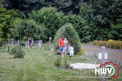 De eerste A. Vogelloop vond plaats onder prachtige weersomstandigheden, waarbij de deelnemers door de Vogeltuin en over het landgoed Zwaluwenburg in 't Harde liepen. - © NWVFoto.nl