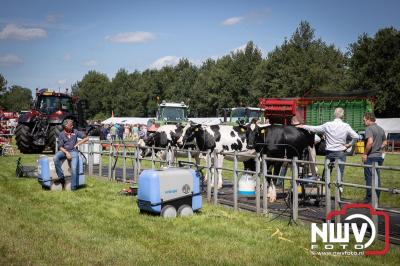 Oogstfeest en Fokveedag in Oldebroek: Een Nostalgische Boerendag voor Jong en Oud - © NWVFoto.nl