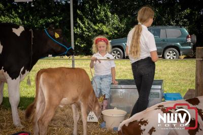 Oogstfeest en Fokveedag in Oldebroek: Een Nostalgische Boerendag voor Jong en Oud - © NWVFoto.nl