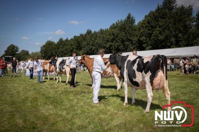 Oogstfeest en Fokveedag in Oldebroek: Een Nostalgische Boerendag voor Jong en Oud - © NWVFoto.nl