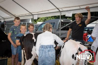 Oogstfeest en Fokveedag in Oldebroek: Een Nostalgische Boerendag voor Jong en Oud - © NWVFoto.nl