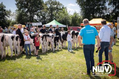 Oogstfeest en Fokveedag in Oldebroek: Een Nostalgische Boerendag voor Jong en Oud - © NWVFoto.nl