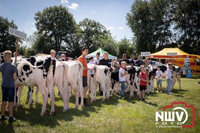 Oogstfeest en Fokveedag in Oldebroek: Een Nostalgische Boerendag voor Jong en Oud - © NWVFoto.nl