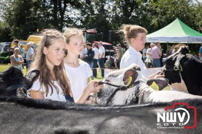 Oogstfeest en Fokveedag in Oldebroek: Een Nostalgische Boerendag voor Jong en Oud - © NWVFoto.nl