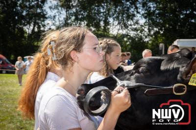 Oogstfeest en Fokveedag in Oldebroek: Een Nostalgische Boerendag voor Jong en Oud - © NWVFoto.nl