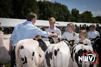 Oogstfeest en Fokveedag in Oldebroek: Een Nostalgische Boerendag voor Jong en Oud - © NWVFoto.nl