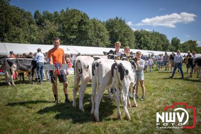 Oogstfeest en Fokveedag in Oldebroek: Een Nostalgische Boerendag voor Jong en Oud - © NWVFoto.nl