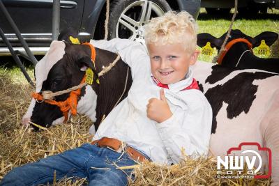 Oogstfeest en Fokveedag in Oldebroek: Een Nostalgische Boerendag voor Jong en Oud - © NWVFoto.nl