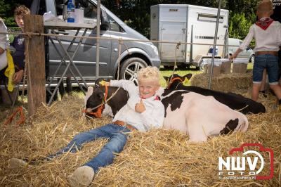 Oogstfeest en Fokveedag in Oldebroek: Een Nostalgische Boerendag voor Jong en Oud - © NWVFoto.nl