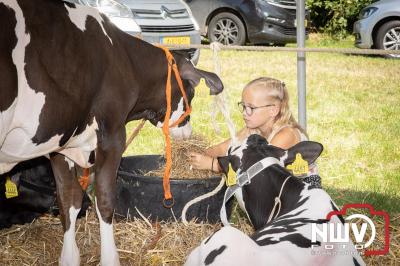 Oogstfeest en Fokveedag in Oldebroek: Een Nostalgische Boerendag voor Jong en Oud - © NWVFoto.nl