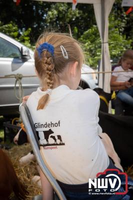 Oogstfeest en Fokveedag in Oldebroek: Een Nostalgische Boerendag voor Jong en Oud - © NWVFoto.nl