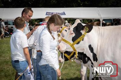 Oogstfeest en Fokveedag in Oldebroek: Een Nostalgische Boerendag voor Jong en Oud - © NWVFoto.nl