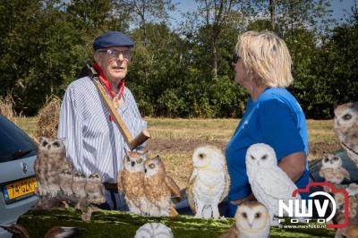 Oogstfeest en Fokveedag in Oldebroek: Een Nostalgische Boerendag voor Jong en Oud - © NWVFoto.nl