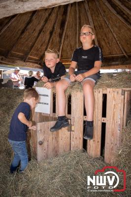 Oogstfeest en Fokveedag in Oldebroek: Een Nostalgische Boerendag voor Jong en Oud - © NWVFoto.nl