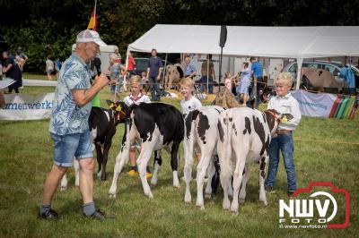 Oogstfeest en Fokveedag in Oldebroek: Een Nostalgische Boerendag voor Jong en Oud - © NWVFoto.nl