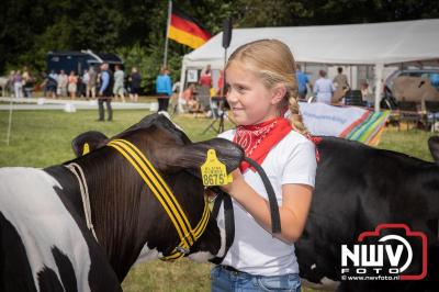 Oogstfeest en Fokveedag in Oldebroek: Een Nostalgische Boerendag voor Jong en Oud - © NWVFoto.nl