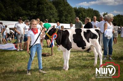 Oogstfeest en Fokveedag in Oldebroek: Een Nostalgische Boerendag voor Jong en Oud - © NWVFoto.nl