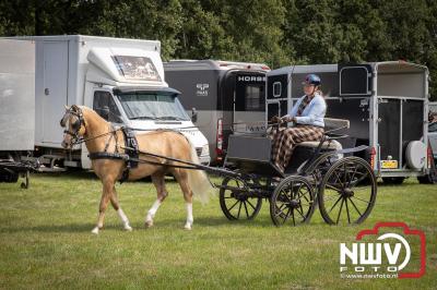 Oogstfeest en Fokveedag in Oldebroek: Een Nostalgische Boerendag voor Jong en Oud - © NWVFoto.nl