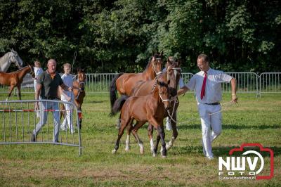 Fokdag en Concours Landgoed Zwaluwenburg 't Harde. - © NWVFoto.nl