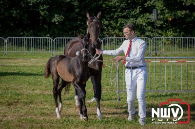 Fokdag en Concours Landgoed Zwaluwenburg 't Harde. - © NWVFoto.nl