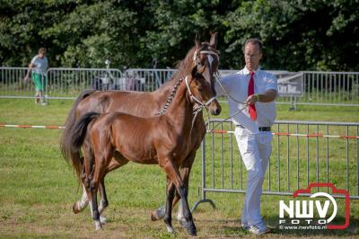 Fokdag en Concours Landgoed Zwaluwenburg 't Harde. - © NWVFoto.nl